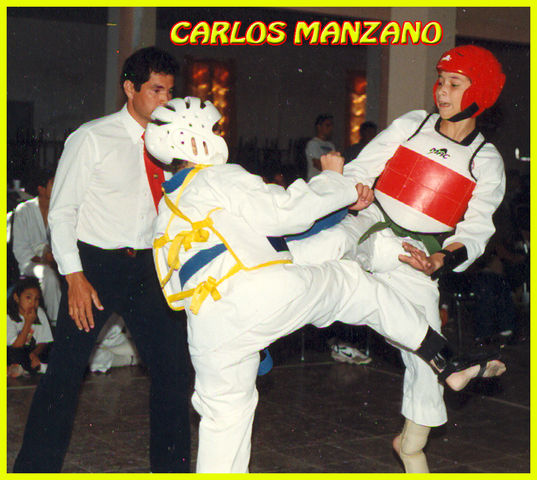 CARLOS MANZANO ARANDA